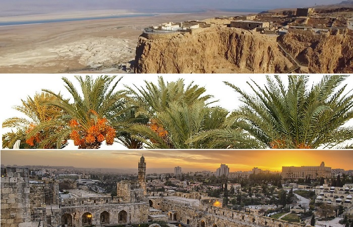 Studienreise nach Israel